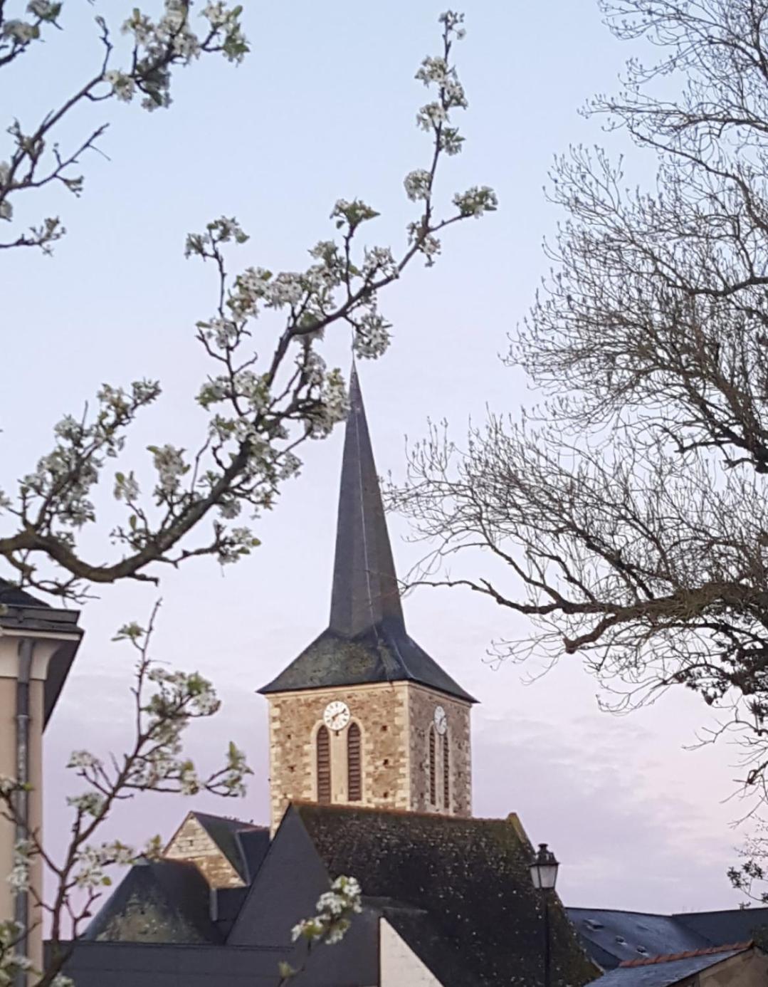 Gite Angers Proche Briollay Kültér fotó