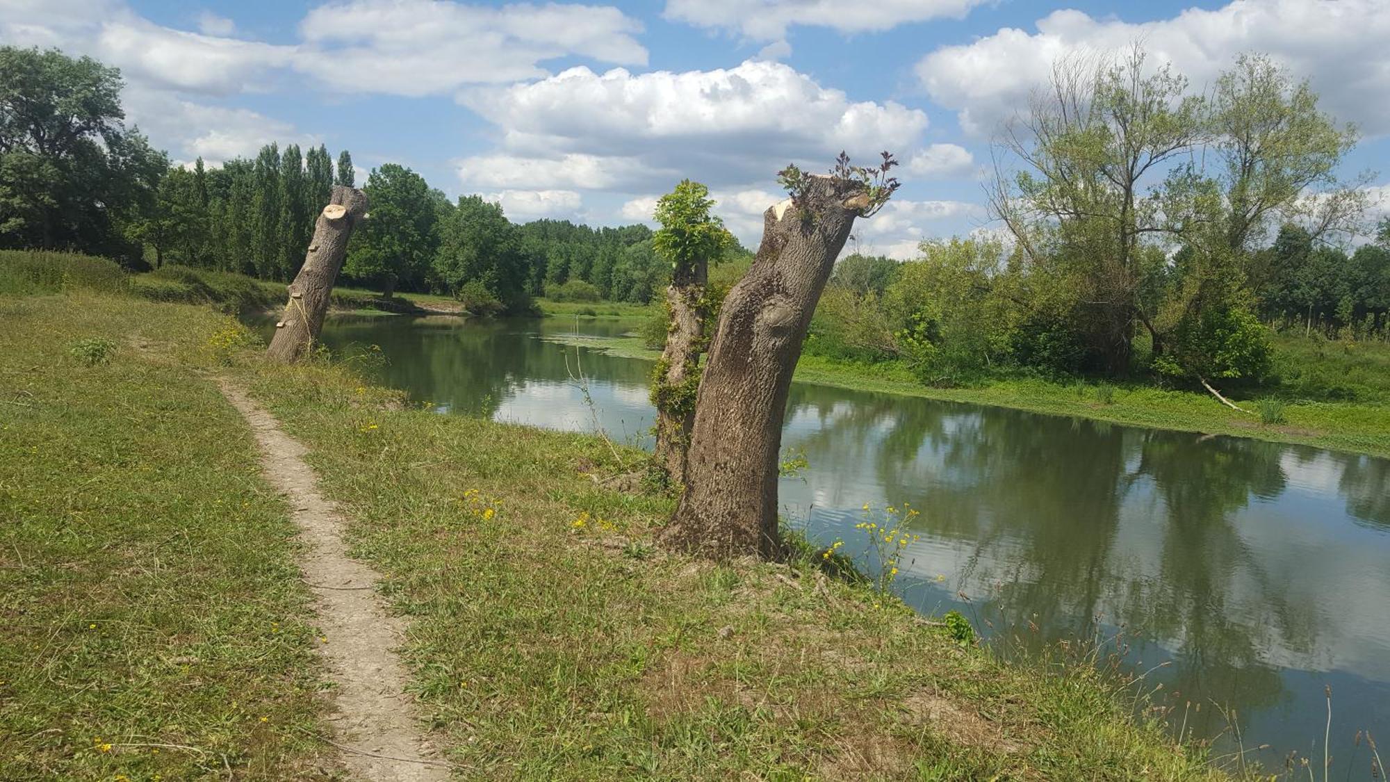 Gite Angers Proche Briollay Kültér fotó